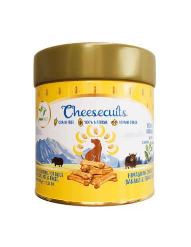 PawFect CHEESE BISCUITS with Pineapple & Coconut 100 gr.