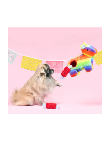 Zippy Burrow - Piñata
