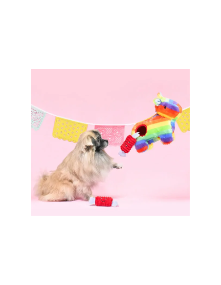 Zippy Burrow - Piñata