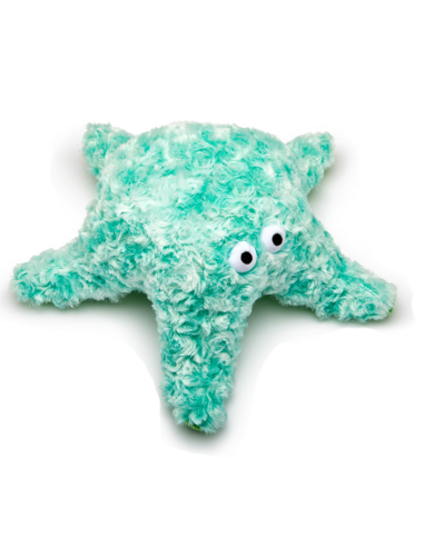 Gor Reef - StarFish - Baby - Vert