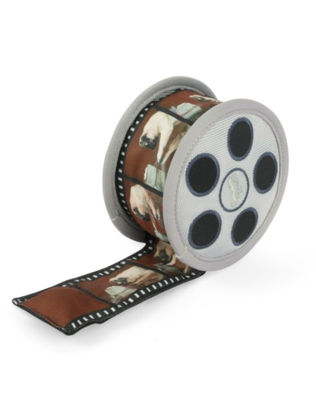 PLAY Hollywoof Cinema - Momo’s Movie Reel