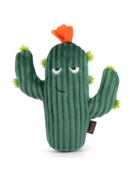 PLAY Blooming Buddies - Prickly Pup Cactus