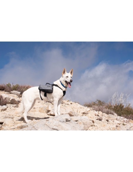 Adventure Backpack - Graphite Size large