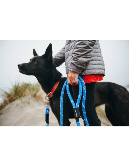 Climbers Dog Leash Original 6 Ft Color Blue