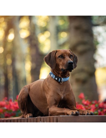 Smart ID Collar - Matrix 2.0 Ocean/XS