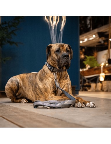 Smart ID Collar - Matrix 2.0 Stone/S