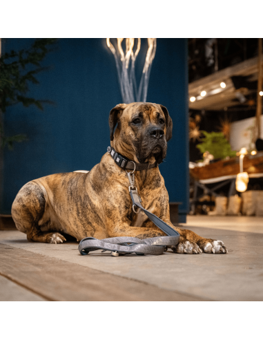 Smart ID Collar - Matrix 2.0 Stone/M