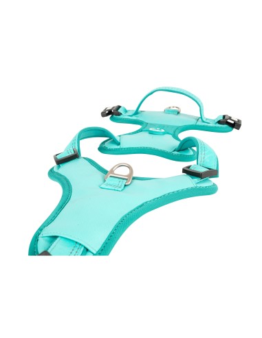 Sport Harness - Matrix 2.0 Turquoise/L