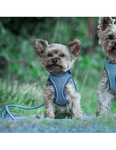 Rope Leash 2m Ø 12mm - Matrix 2.0 Ocean/L-XL