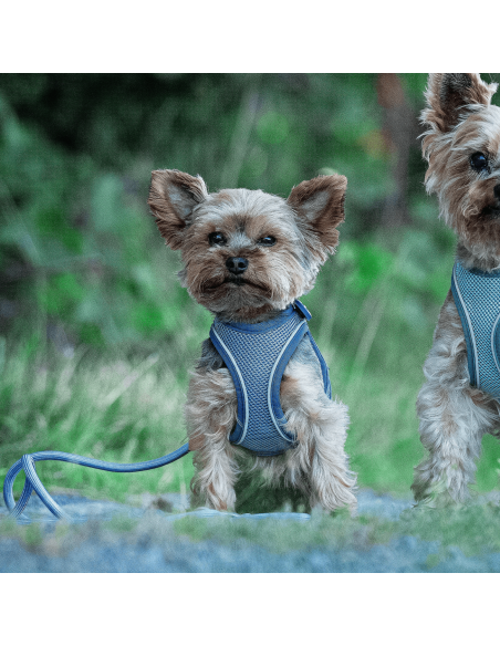 Rope Leash 2m Ø 12mm - Matrix 2.0 Ocean/L-XL