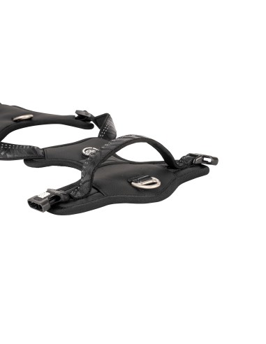 Sport Harness - Matrix 2.0 Black/S