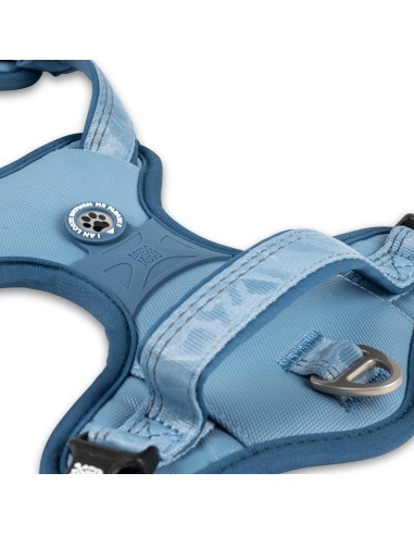 Sport Harness - Matrix 2.0 Ocean/L