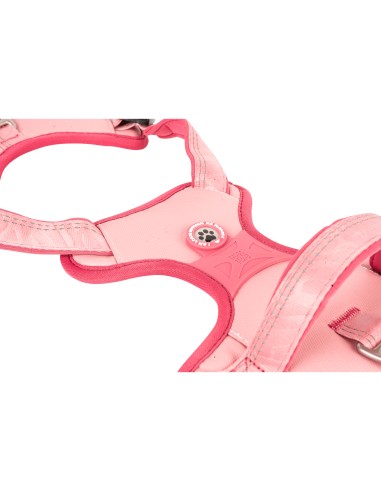 Sport Harness - Matrix 2.0 Rose/S