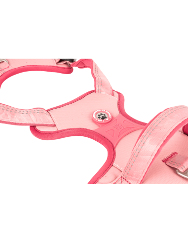 Sport Harness - Matrix 2.0 Rose/L