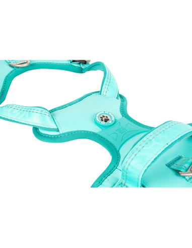 Sport Harness - Matrix 2.0 Turquoise/S