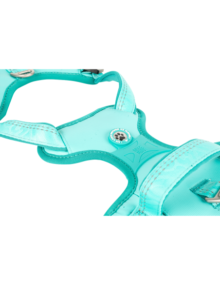 Sport Harness - Matrix 2.0 Turquoise/S