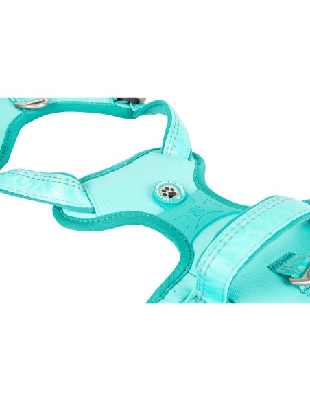 Sport Harness - Matrix 2.0 Turquoise/M