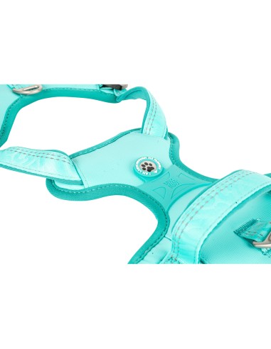 Sport Harness - Matrix 2.0 Turquoise/XL