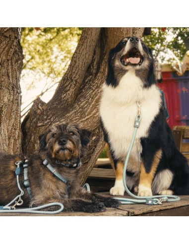 Rope Leash 2m Ø 10mm - Matrix 2.0 Jade/M-L