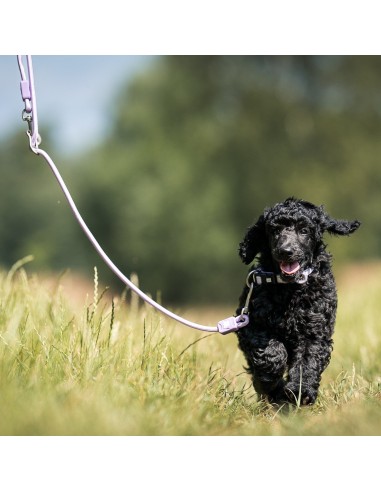Rope Leash 2m Ø 8mm - Matrix 2.0 Lavender/XS-S