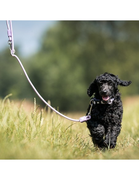 Rope Leash 2m Ø 10mm - Matrix 2.0 Lavender/M-L