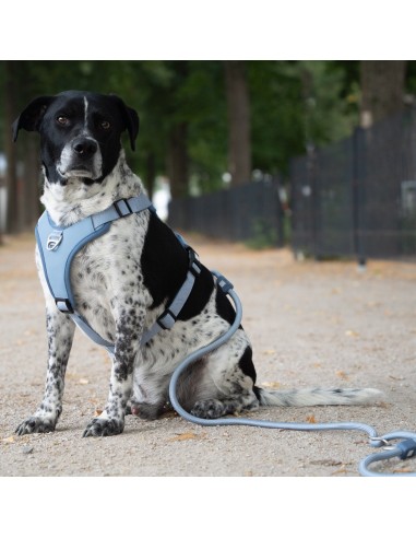 Rope Leash 2m Ø 10mm - Matrix 2.0 Ocean/M-L