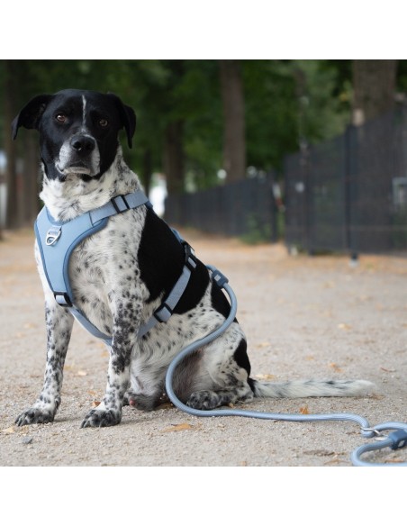 Rope Leash 2m Ø 12mm - Matrix 2.0 Ocean/L-XL