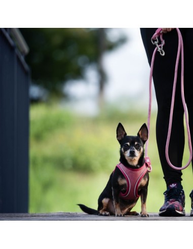 Rope Leash 2m Ø 10mm - Matrix 2.0 Rose/M-L