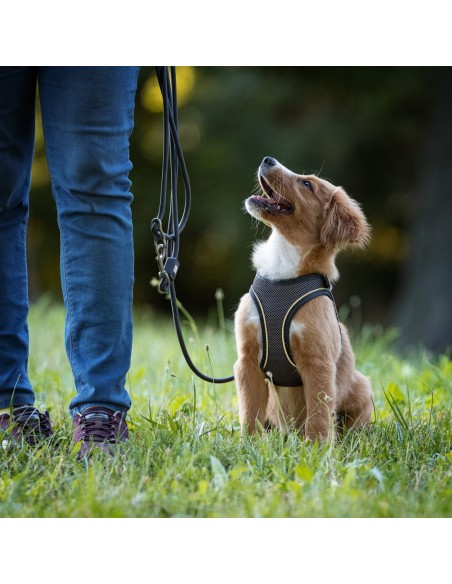 Rope Leash 2m Ø 10mm - Matrix 2.0 Stone/M-L