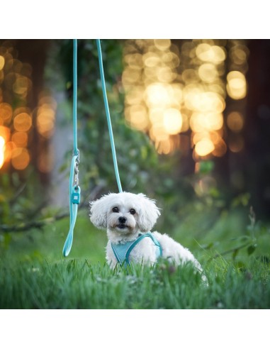 Rope Leash 2m Ø 12mm - Matrix 2.0 Turquoise/L-XL