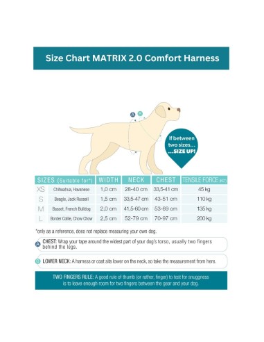 Comfort-H-Harness - Matrix 2.0 Rose/XS
