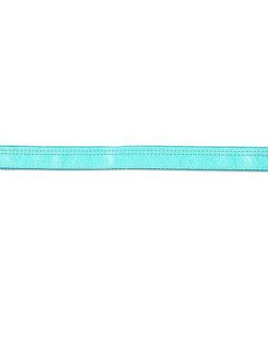 Multi-Function Leash - Matrix 2.0 Turquoise/M
