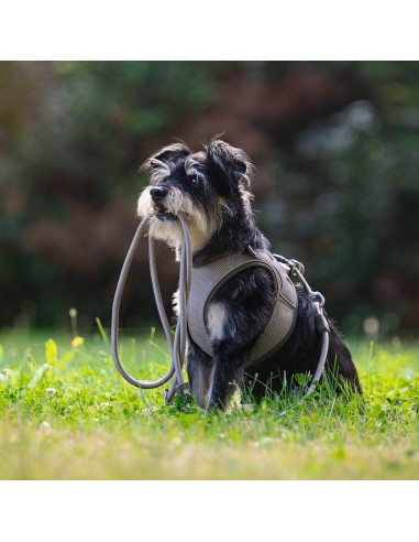 Rope Leash 2m Ø 10mm - Matrix 2.0 Sand/M-L