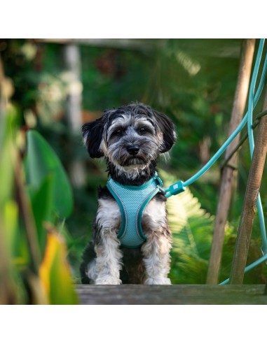 Rope Leash 2m Ø 12mm - Matrix 2.0 Turquoise/L-XL