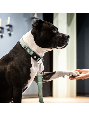 Smart ID Collar - Matrix 2.0 Jade/S