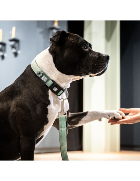 Smart ID Collar - Matrix 2.0 Jade/L