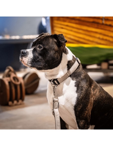 Smart ID Collar - Matrix 2.0 Sand/M