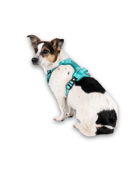 Sport Harness - Matrix 2.0 Turquoise/L