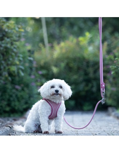 Rope Leash 2m Ø 8mm - Matrix 2.0 Rose/XS-S