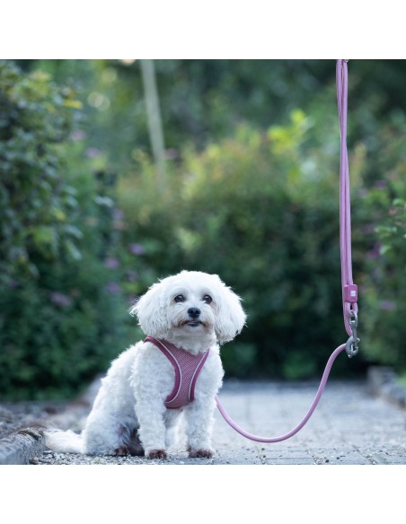 Rope Leash 2m Ø 10mm - Matrix 2.0 Rose/M-L