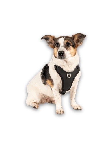 Sport Harness - Matrix 2.0 Black/M