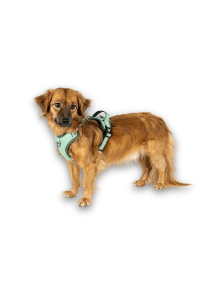 Sport Harness - Matrix 2.0 Jade/S