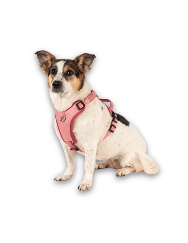 Sport Harness - Matrix 2.0 Rose/XL