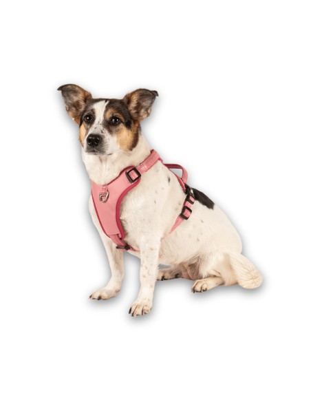 Sport Harness - Matrix 2.0 Rose/XL