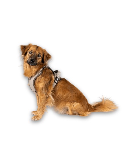 Sport Harness - Matrix 2.0 Sand/S