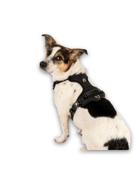Sport Harness - Matrix 2.0 Black/M