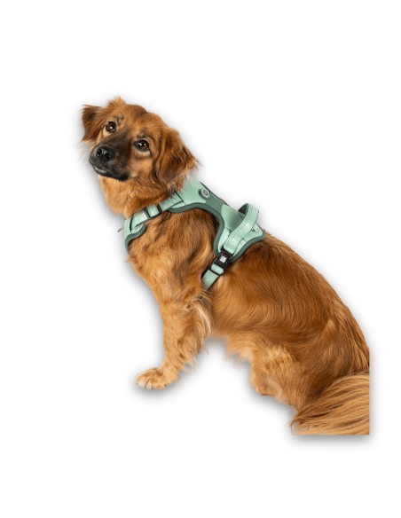 Sport Harness - Matrix 2.0 Jade/XL
