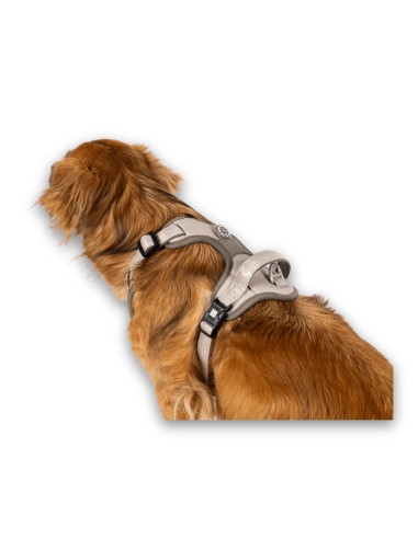 Sport Harness - Matrix 2.0 Sand/XL