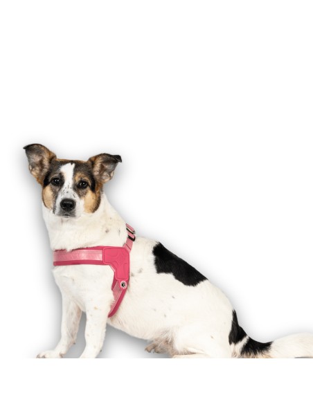 Q-Fit Harness - Matrix 2.0 Rose/XXS