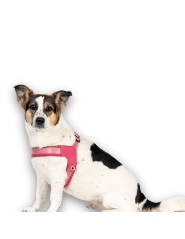 Q-Fit Harness - Matrix 2.0 Rose/S